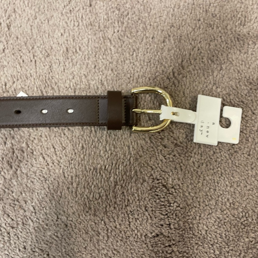a new day Brown Belt with Gold Buckle